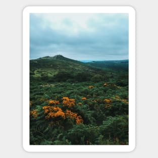 Dartmoor Dawn Sticker